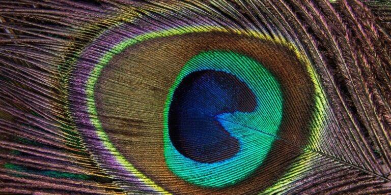 CiceroneJournal's tweet photo. In this new short story by Phil Manning, two elderly women find a way of escaping their rest home. Get ready to be surprised!
https://t.co/8DblWr3G8q
#shortstory #shortfiction #literaryjournal #philmanning https://t.co/P627yhZ1Xd