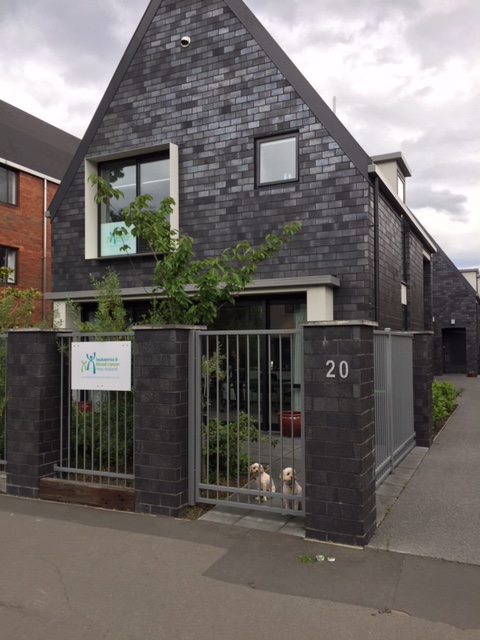 leukaemia.org.nz tweet media