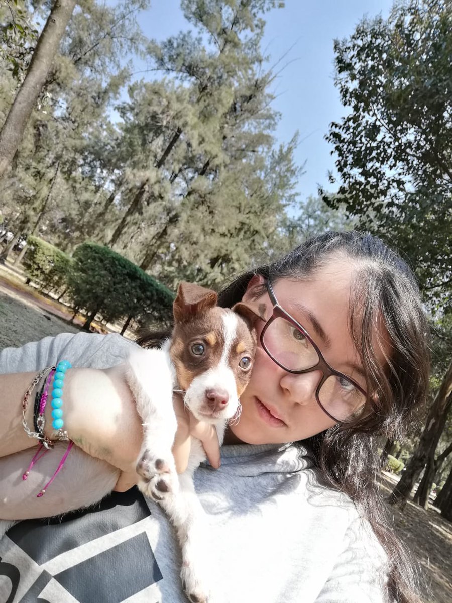 LoverulesTeam1's tweet photo. #IntegracionRuler hola mi nombre es Valentina y conozco a @LosRules desde 2018 pero empecé la cuenta este año gracias a la cuarenta 😄💚💙 https://t.co/3B5g1BiATy