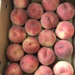 これでアウトなの!？美味しいのに規格外品の「ハネ桃」