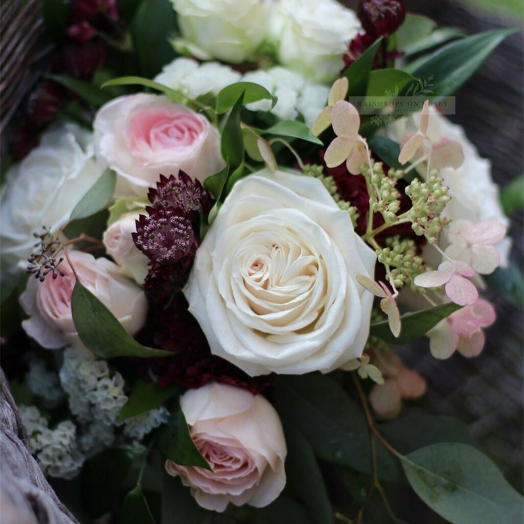 Raindrops on Roses tweet media