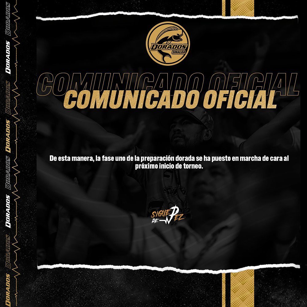 loree_solorzano's tweet photo. #LigaDeExpansiónMX

🧐 ¡Oficial!

➡️ Antonio Nava
➡️ @JGMTZ11
➡️ @psnhuaje
➡️ @martinrdzriv98
➡️ Salvador Manríquez
➡️ Juan de Dios Mtz
➡️ Rafael Fernández

Llegan a Dorados, todos ex jugadores Gallos, dos de ellos tuvieron experiencia en Ascenso https://t.co/DyzzluHuU4
