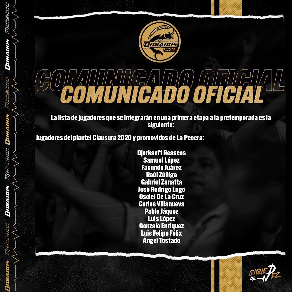 loree_solorzano's tweet photo. #LigaDeExpansiónMX

🧐 ¡Oficial!

➡️ Antonio Nava
➡️ @JGMTZ11
➡️ @psnhuaje
➡️ @martinrdzriv98
➡️ Salvador Manríquez
➡️ Juan de Dios Mtz
➡️ Rafael Fernández

Llegan a Dorados, todos ex jugadores Gallos, dos de ellos tuvieron experiencia en Ascenso https://t.co/DyzzluHuU4