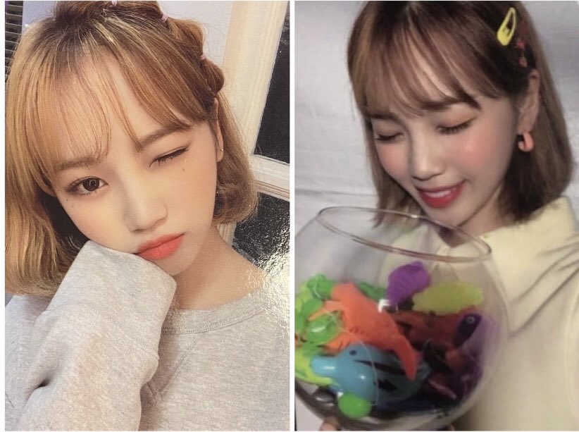 cha_glass_'s tweet photo. 조유리 김채원 포카 양도 받아요
제시해서 디엠 주세요 역제시는 안 받을게용
터무니 없는 가격은 안 받아요 ㅎㅎ
조유리 영화 포카도 양도 받으니 디엠 주세요 https://t.co/Gr0HnD6IPS