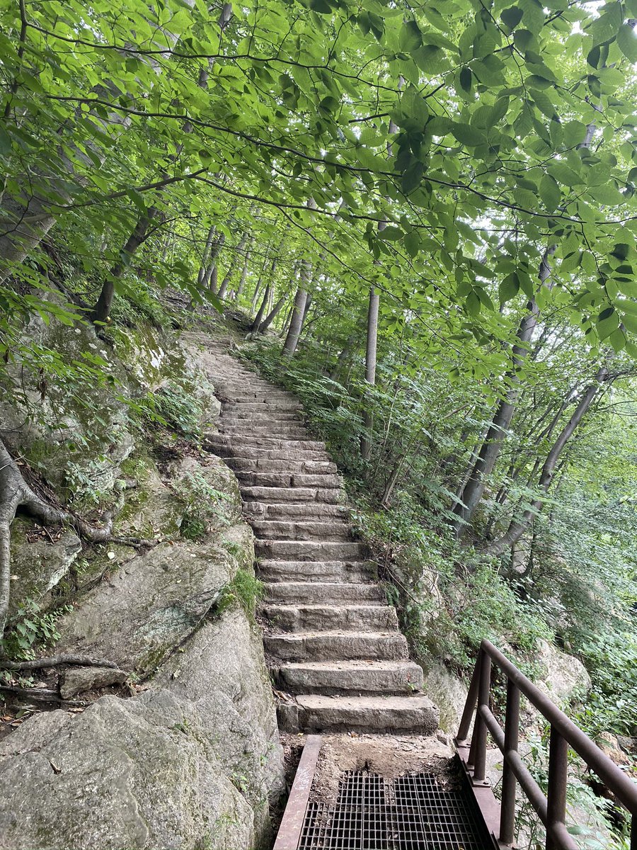 Cynth_Leon's tweet photo. Grateful for access to lush green outdoor spaces like the orange trail at the Wissahickon! #OnTheCircuit 🙏 https://t.co/jPDrXsaMHy