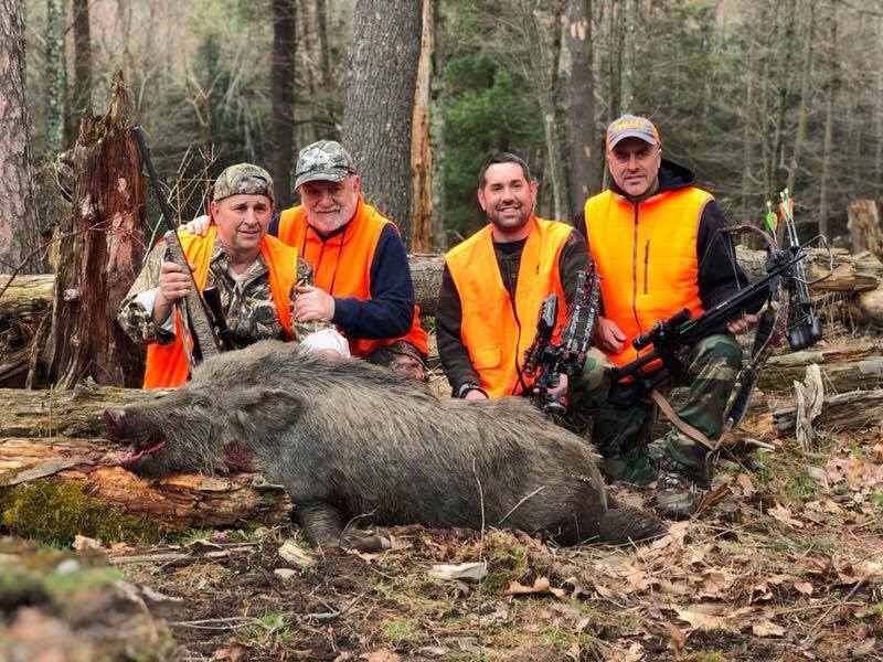 TiogaBoarRanch's tweet photo. Few things are more fun than #hunting with a group of family and/or friends!

https://t.co/SXgLeSjZs6 https://t.co/vrMUH6cH4y
