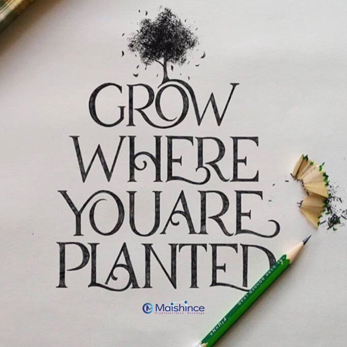 You’re sure to bloom
.
#inspirational #motivational #inspirationalquotes #inspiring #quotes #life #lifequotes #motivate #inspirationallifequotes #blockchain #cryptocurrency #positive #positivequotes