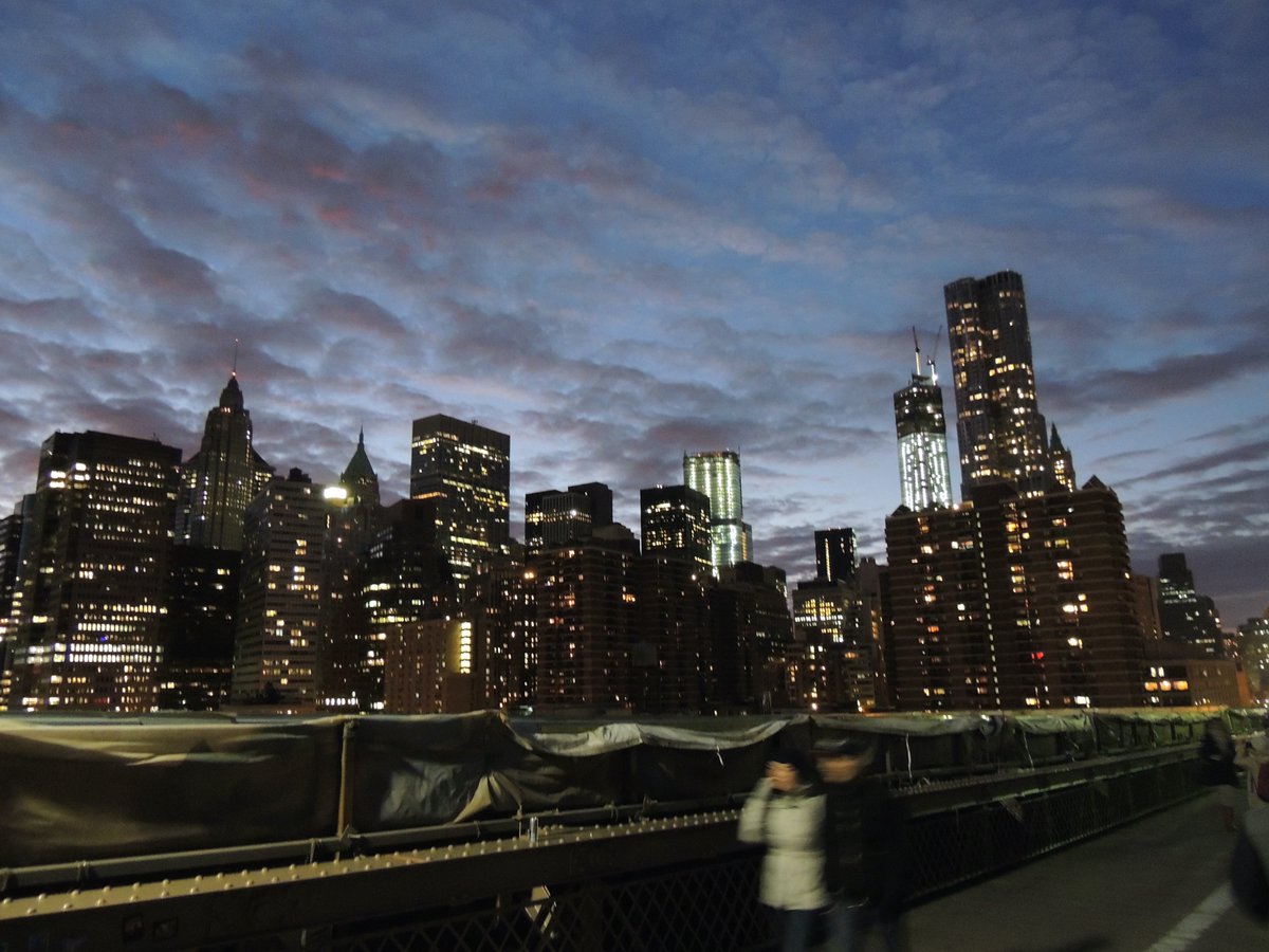NYC skyline #nycphotographer #bronxphotographer #nyc