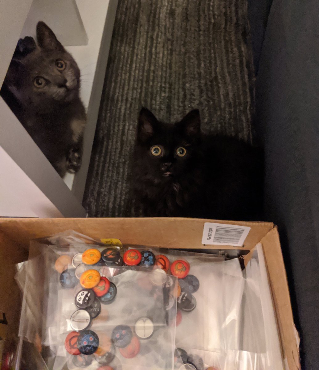 Bethany is bagging up pin packs for the NITW merch shop and helpers have arrived