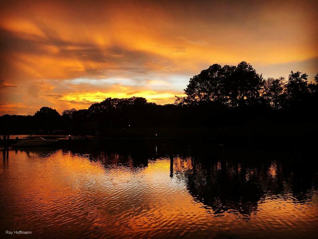 rayphoto21's tweet photo. Kinda dramatic post storm sunset #sunset #Maryland #clouds #trees #rhoderiver https://t.co/VswzHcZ6LW https://t.co/le0i4ytaB4