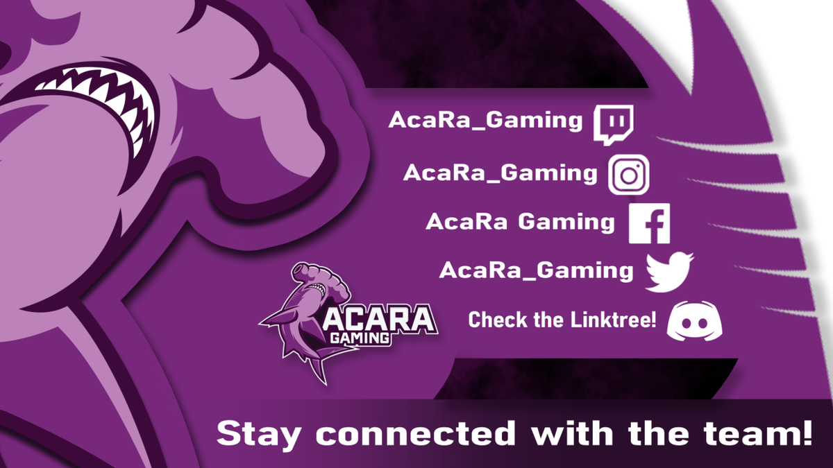 AcaRa Gaming, LLC 🇺🇸 tweet media