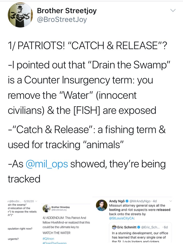 8/... you’ll pardon the crudeness[The Cabal] blew their [load] alreadySo the arrests will startThe FISH were already caught (if you read a finding I’m quite proud of) you’ll seeDRAIN THE SWAMPis a COUNTERINSURGENCY TACTICAs are “On the Ready” & “Catch & Release”