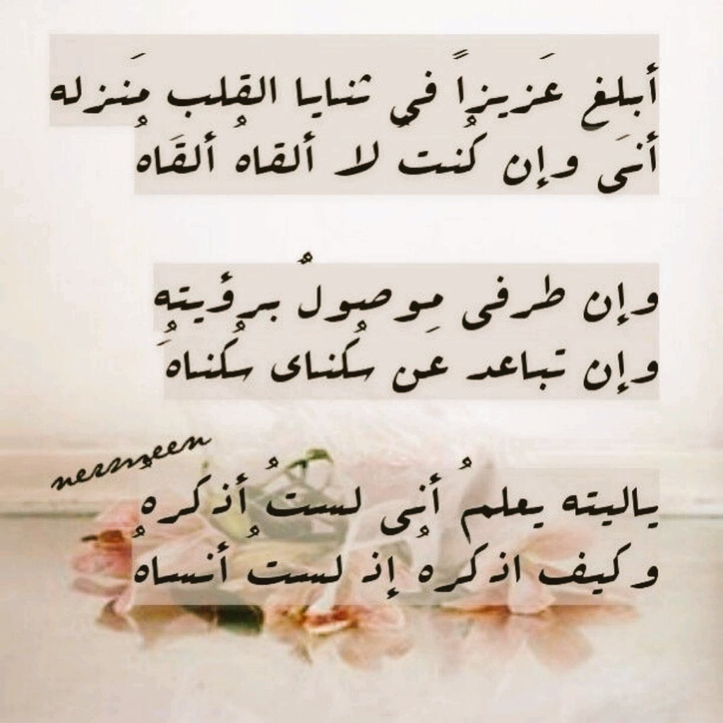 alimais64's tweet photo. https://t.co/iXLL0qfS8S