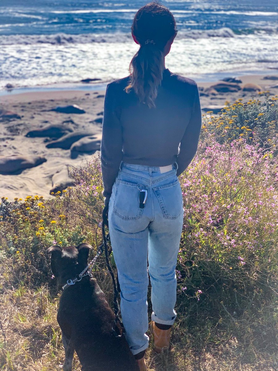 MichelleLeighLifts tweet media