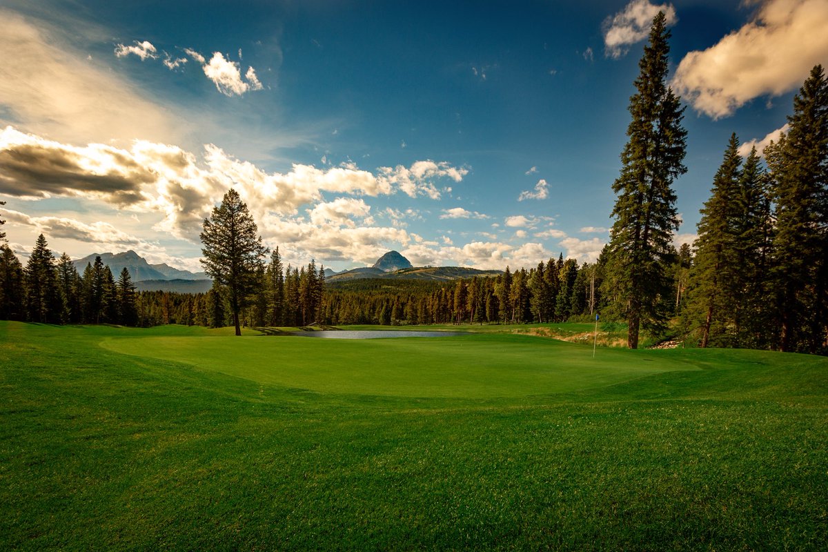 Crowsnest Pass Golf tweet media
