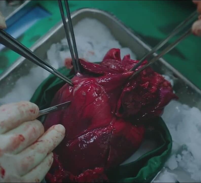 kdramaunnieee's tweet photo. this is why i love medical genre kdramas 😍 https://t.co/PdP32kVXi9