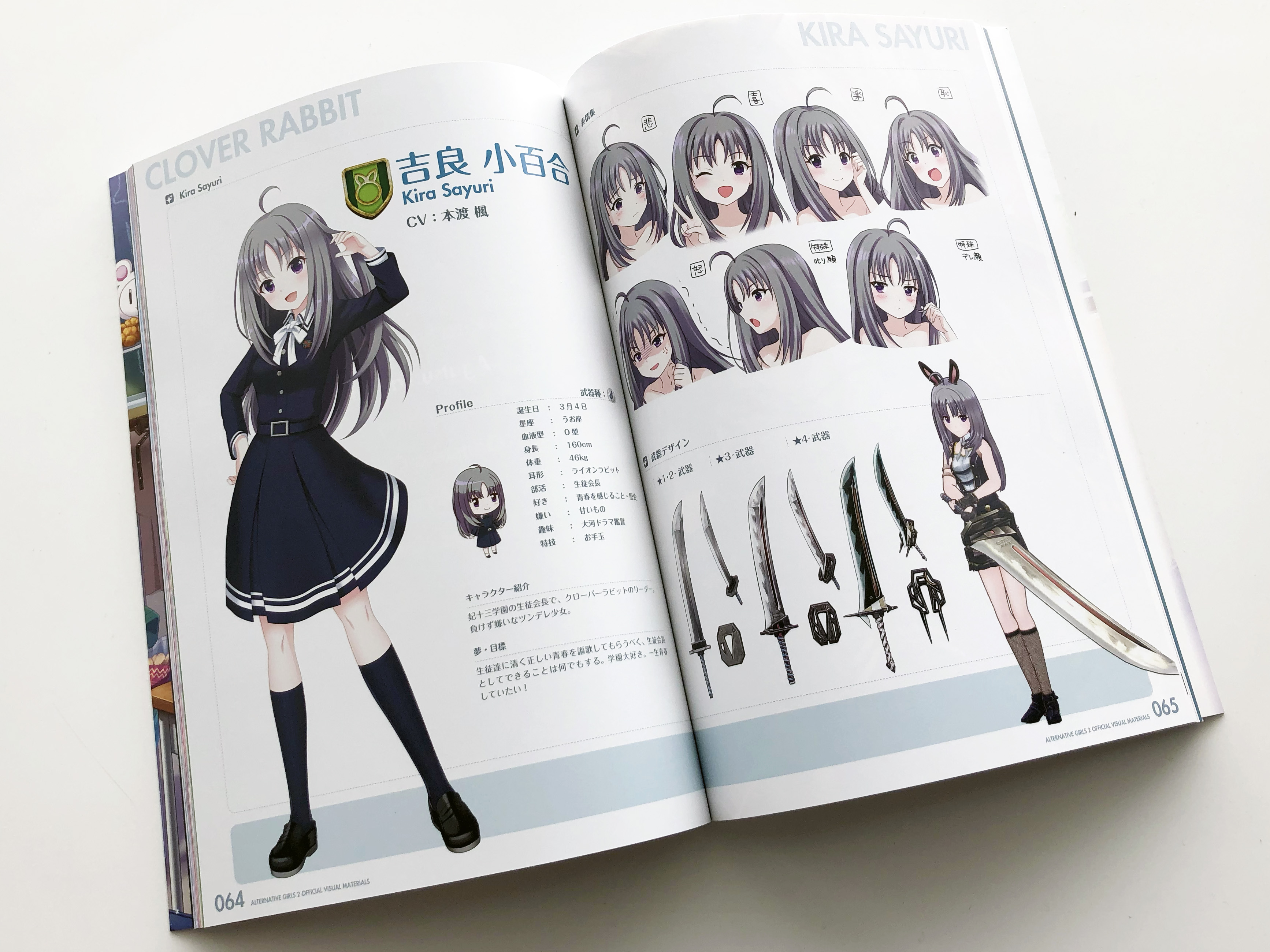 #4984 オルタナティブガールズ 2 公式設定資料集 初版発行 オルタナティブガールズ 2 公式設定資料集 初版発行