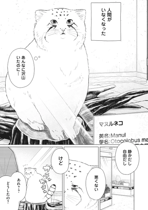 【MANGA Day to Day】#37-❶

「2020年5月7日」(1/2)
  真夏日ずる

#mangadaytoday #daytoday 
#漫画が読めるハッシュタグ 
#毎日13時ごろ更新 