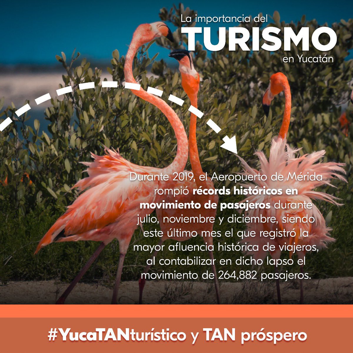Sabías que en 2019 el Aeropuerto Internacional de Mérida rompió récords históricos en movimiento de pasajeros?
Poco a poco recuperamos nuestra conectividad para estar más cerca de los visitantes. Juntos saldremos adelante #UnidosComoUnoSolo 
#YucaTANturistico y TAN próspero.