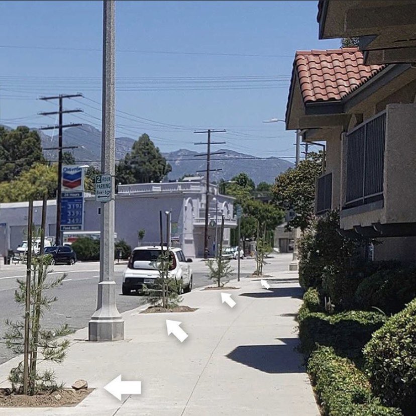 LACitySAN's tweet photo. Sign up for a FREE street tree!🌲 Last week, LASAN partnered with Councilmember @LadyMRod to plant 57 new street trees along #FoothillBlvd. in CD 7. 
#Plantingtrees helps create more sustainable &amp; vibrant communities. 
Sign up for a neighborhood tree!
👉https://t.co/L5l90rCuY1 🌳 https://t.co/yQrxrLF646