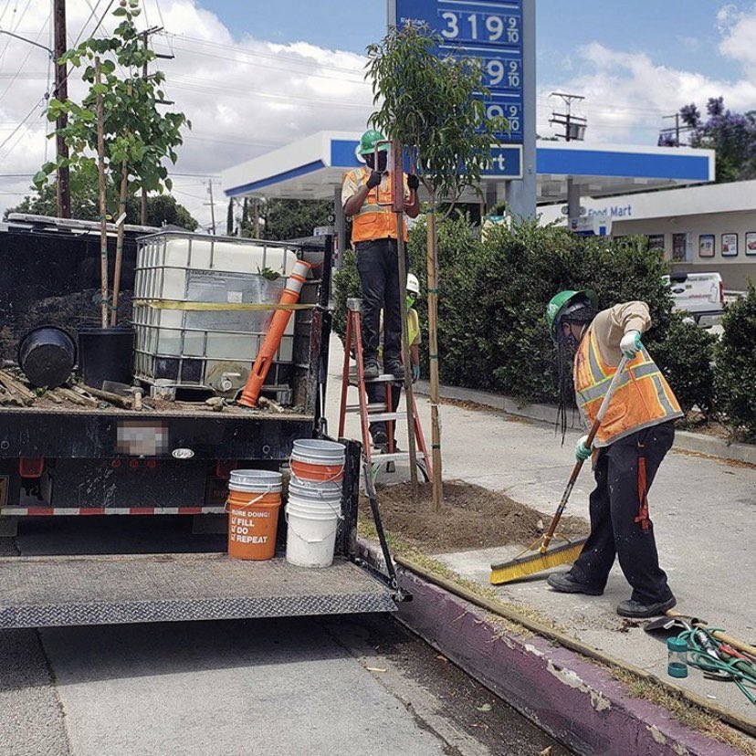 LACitySAN's tweet photo. Sign up for a FREE street tree!🌲 Last week, LASAN partnered with Councilmember @LadyMRod to plant 57 new street trees along #FoothillBlvd. in CD 7. 
#Plantingtrees helps create more sustainable &amp; vibrant communities. 
Sign up for a neighborhood tree!
👉https://t.co/L5l90rCuY1 🌳 https://t.co/yQrxrLF646