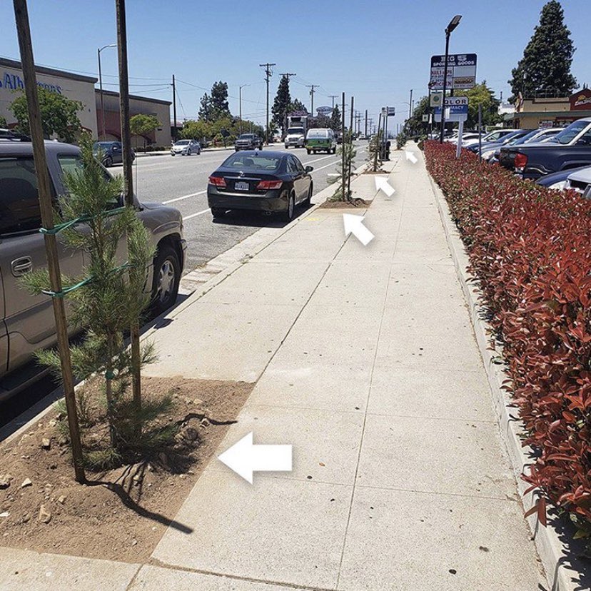 LACitySAN's tweet photo. Sign up for a FREE street tree!🌲 Last week, LASAN partnered with Councilmember @LadyMRod to plant 57 new street trees along #FoothillBlvd. in CD 7. 
#Plantingtrees helps create more sustainable &amp; vibrant communities. 
Sign up for a neighborhood tree!
👉https://t.co/L5l90rCuY1 🌳 https://t.co/yQrxrLF646