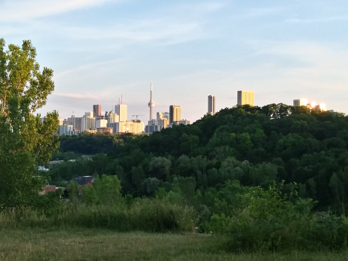 exploretofit's tweet photo. We had 3 separate Midtown based 12 km walks going tonight. All starting from the #YongeStClair and Summerhill area. So much green space all around us 👍😁 Thank you C and V for hosting. #TorontoFitness #TorontoCardio #TorontoExercise #TorontoSocial #MRAC #MidtownRaviners https://t.co/WUS2HqKSxL