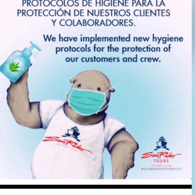 Sunridertours's tweet photo. We are ready with our #sanitation #protocols #cabo #Covid_19 #vacation Estamos listos con los protocolos #sanitizacion.  #visitcabo #mexico https://t.co/Wm7pMgoAZ2