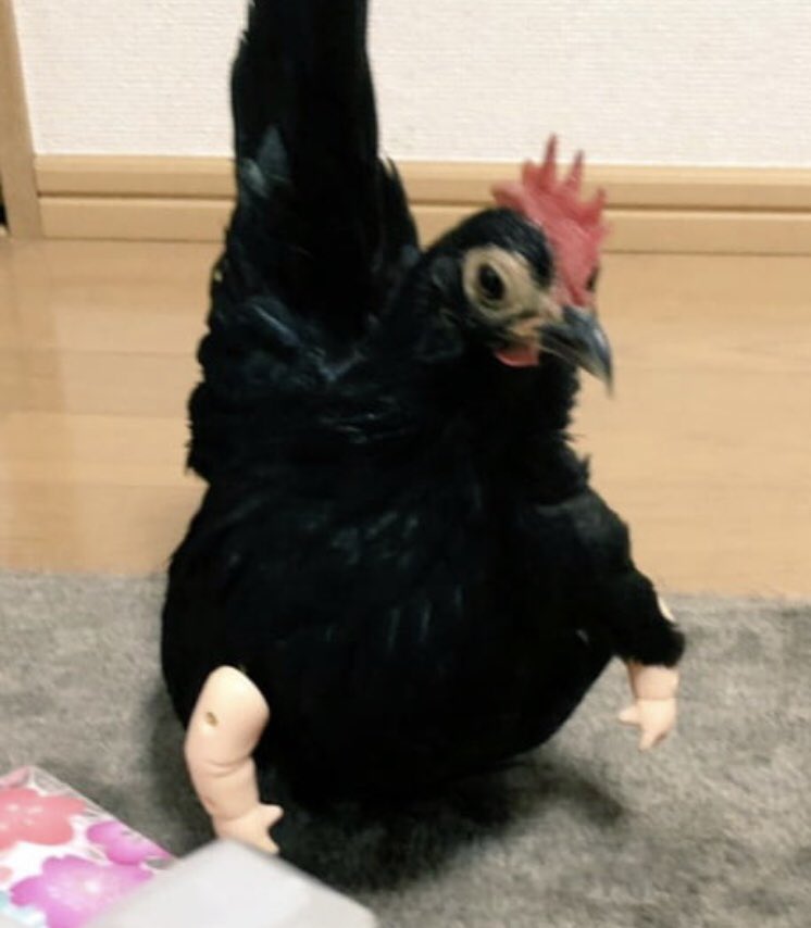 DevonESawa's tweet photo. Yo, during this PANDEMIC, to make a little extra money, I’m selling arms for chickens. DMs are open.  — $9.99 https://t.co/6bSGMwNQtP