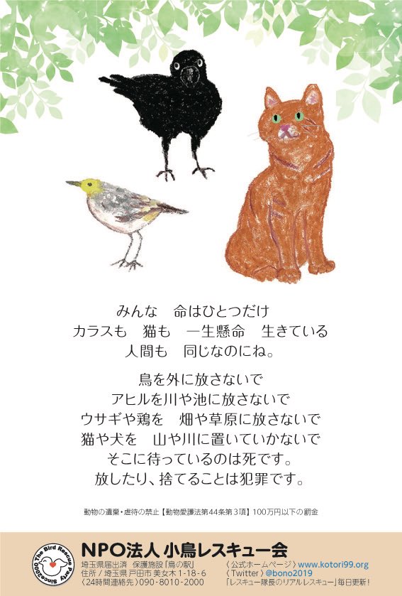 小鳥レスキュー隊の隊長 On Twitter あまり 思いだしたくないことですが 過去に生きたまま 宅配で届いたこと や 遺体が届いたことはありました ここ5年はありません 施設だからこそ 体験してしまう嫌な ことは後を経ちません ケージごと 放置された子を現地