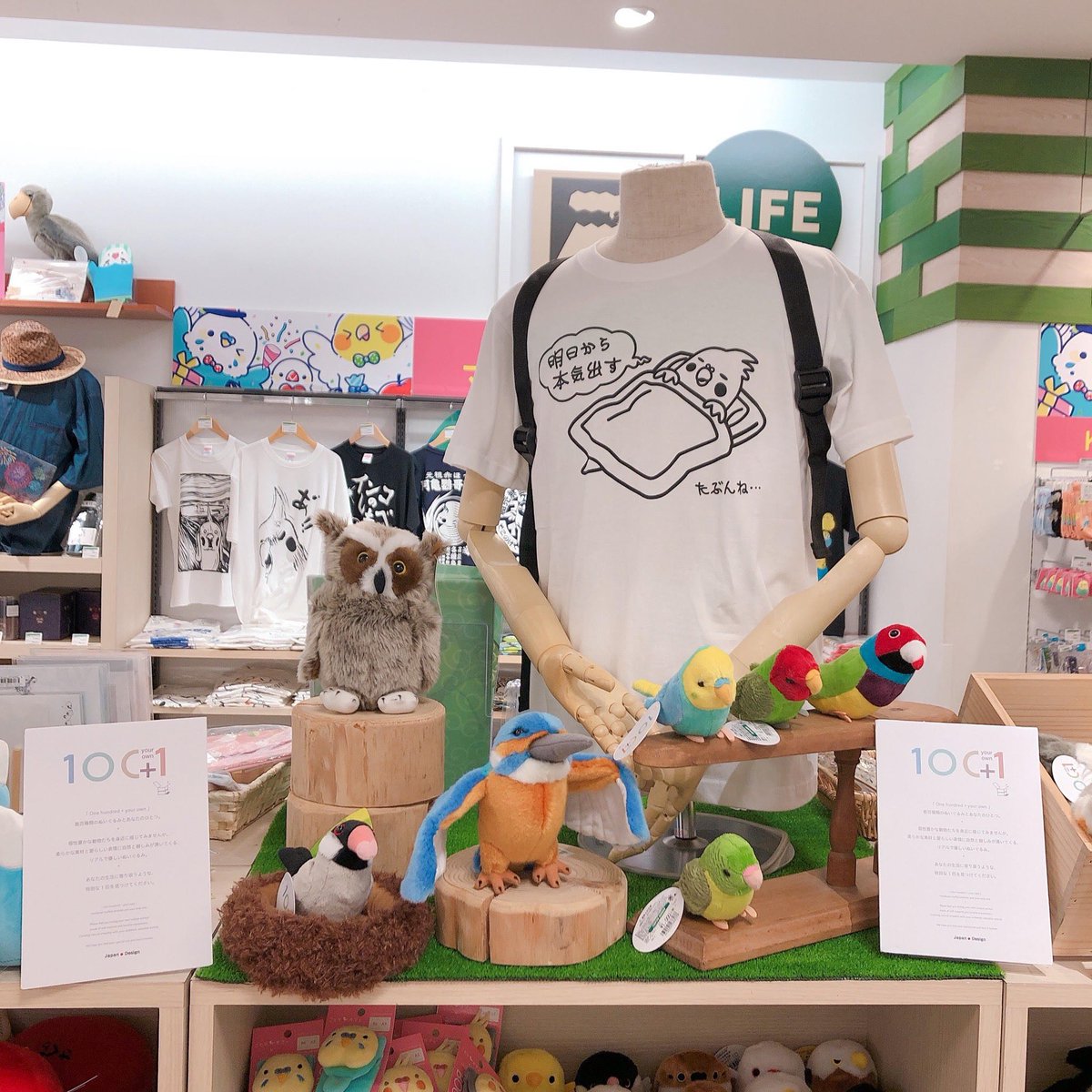 ことりカフェ お江戸文鳥博10 25迄 東急ハンズ鹿児島店アミュプラザ4階 7 24 金 祝 迄 鳥グッズモリモリです ピスケ うさぎ ことりカフェ コラボグッズ販売中 ぬいぐるみはお一人様各2個ずつまで 無くなり次第終了です ことりマルシェ ことりカフェ お江戸文鳥博10 25迄 東急ハンズ鹿児島店アミュプラザ4階 7 24 金 祝 迄 鳥グッズモリモリです ピスケ うさぎ ことりカフェ コラボグッズ販売中 ぬいぐるみはお一人様各2個ずつまで 無くなり次第終了です ことりマルシェ