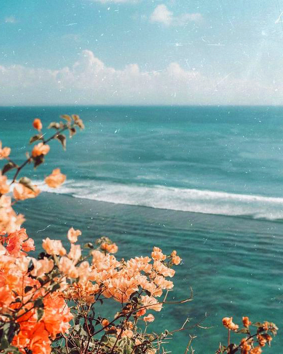 LinHoAesthetic's tweet photo. aqua aesthetic 💚🍀🌿

#라이관린 #유선호 #laikuanlin #yooseonho #linho #หลินโฮ https://t.co/0kP7jIeCfN