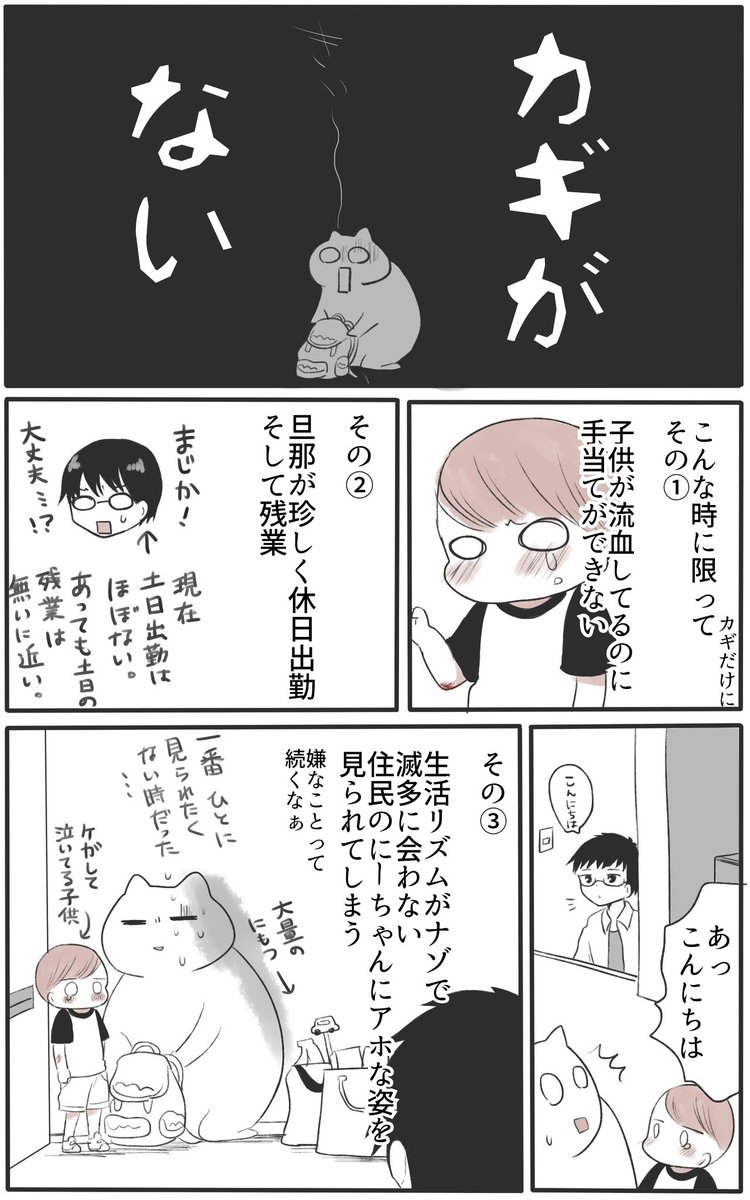 家のカギを落としただけの話

#育児漫画 #ひゅーちゃんの育児備忘録 