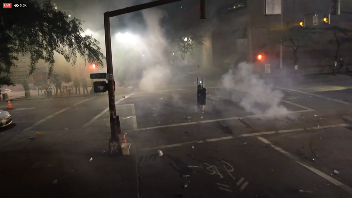 OWS_ellie's tweet photo. Feds are surrounding the Justice Building &amp; protecting it now. Still not a lot of them compared to the thousands of protesters.
#FedsGoHome #FedsGetOut https://t.co/8qEy4xO7et