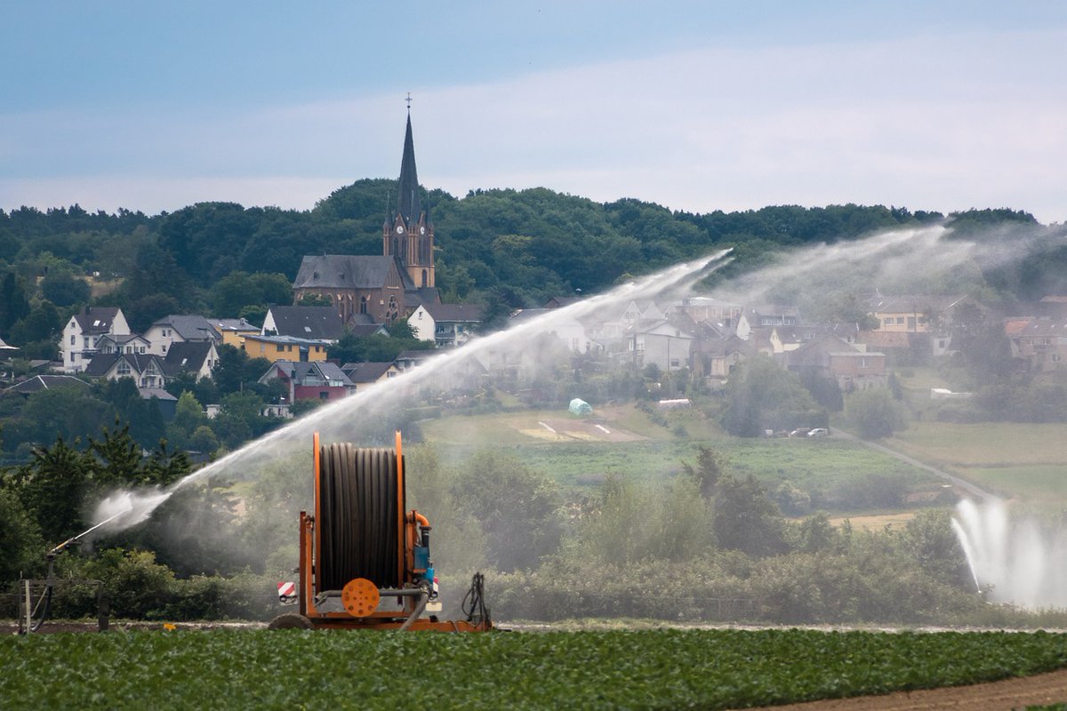 irrigation, church, hose