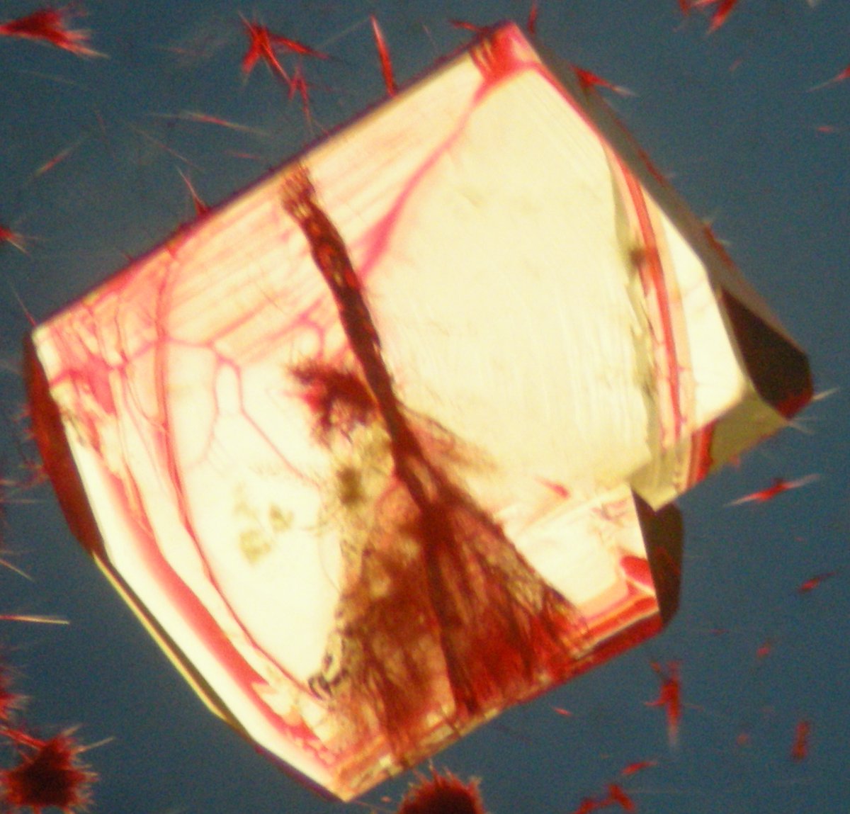 Crystals in Art Competition Entry #5] Defect Engineering with Dye Additives

Pharmaceutically relevant Piroxiam with dye additive Eosin Y w/ Optical Microscopy entered by Aneesa Al-Ani from University of Bath
<a href="/UniofBath/">University of Bath</a> 
 
To vote for this image, go to: bacg.co.uk/crystal-in-art…