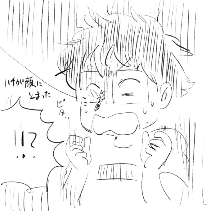 ハチ顔(がん)ダイバー?⋆︎*゜∗? 