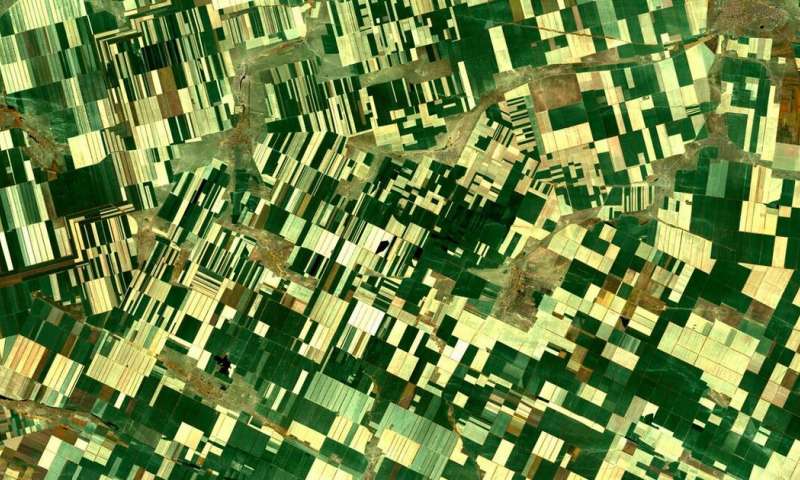 Una forma muy efectiva de reducir la pérdida de biodiversidad en las zonas agrícolas es aumentar la cantidad de hábitats naturales y seminaturales, como bosques, setos, franjas de praderas y áreas no cultivadas. ¿Cuándo el Ministerio de Agricultura apoyará de verdad esta medida?