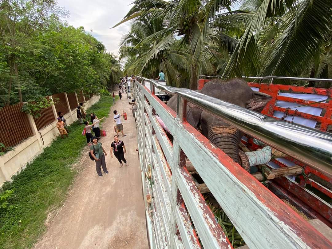 ElephantNatureP's tweet photo. We rescued seven elephants and they are on the way to Elephant Nature Park.
How you can help us to take care the elephants and other animals : donate direct to Save Elephant Foundation https://t.co/4Iu84kwn9T
Or buying #EleGiftCard to feed our elephants: https://t.co/0Tkh89bnvw https://t.co/0Sf04TjWGl