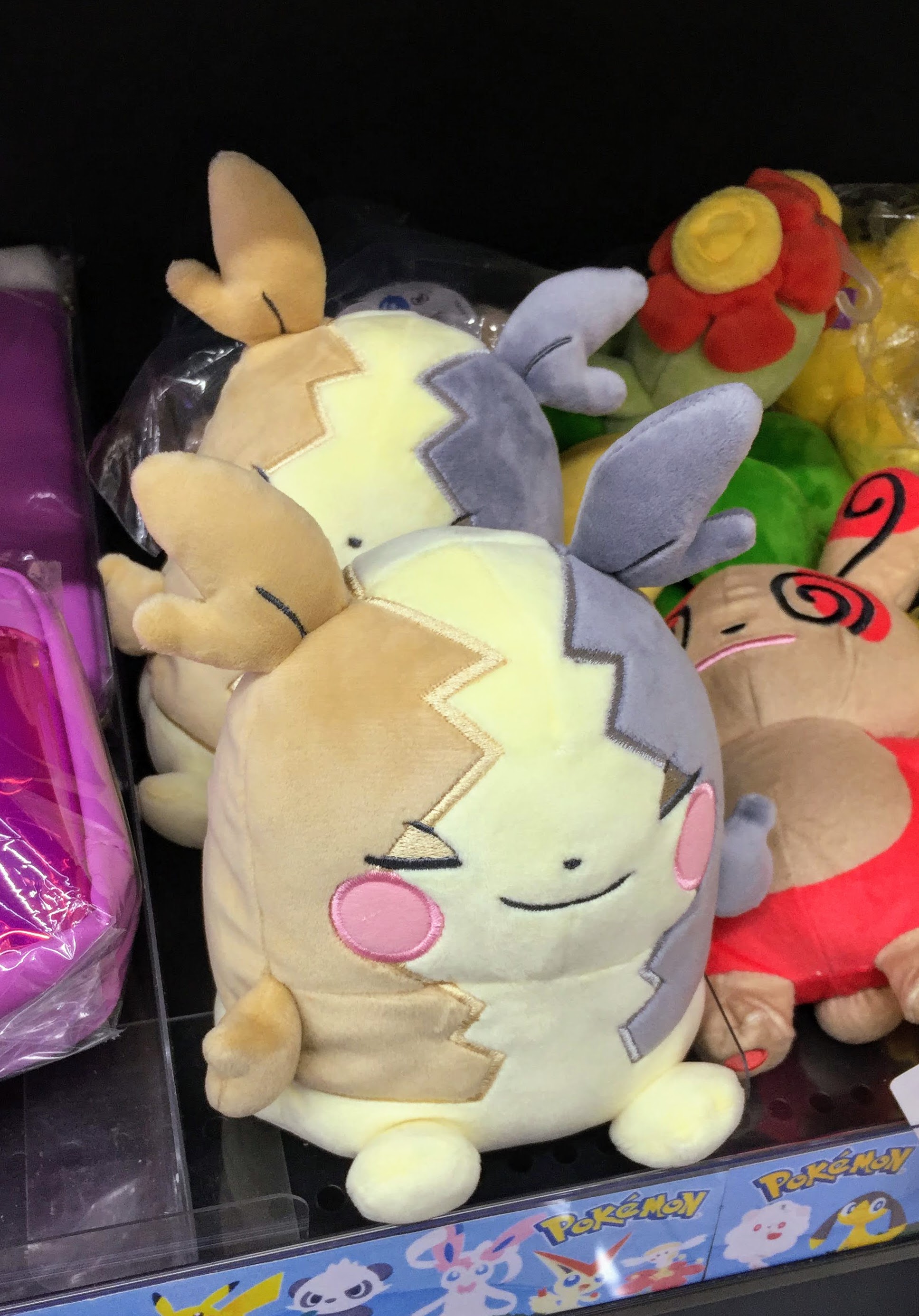 アニメイト町田 ポケットモンスター グッズ再入荷情報 すやすやフレンド ぬいぐるみs モルペコ ちょっこりさん モルペコ が入荷マチ 1階ファンシーコーナーにてポケモン関連商品が展開中 要チェックマチ アニ町グッズ入荷 ポケモン