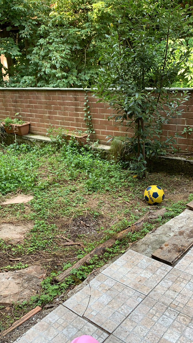 MissMariamaria's tweet photo. Backyard chillin’ https://t.co/C7zUKcEHxs