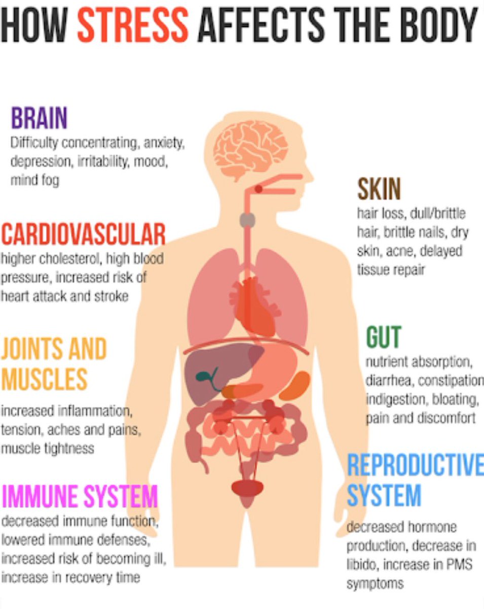 Stress, anxiety and depression can reveal itself in many physical ways in the body. Listen to what your body is trying to tell you. 

#mindhealth #mindhealthmatters #listentoyourbody #howstressaffects #healthyminds