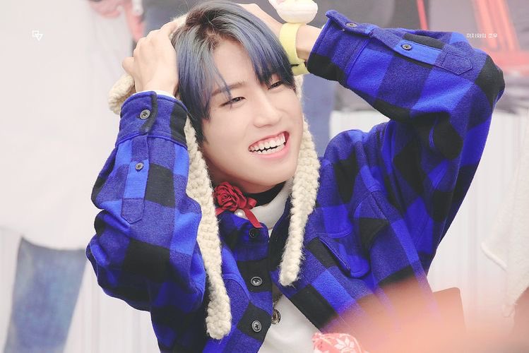 — han jisung’s blue hair; a needed thread  #StrayKids    #skz