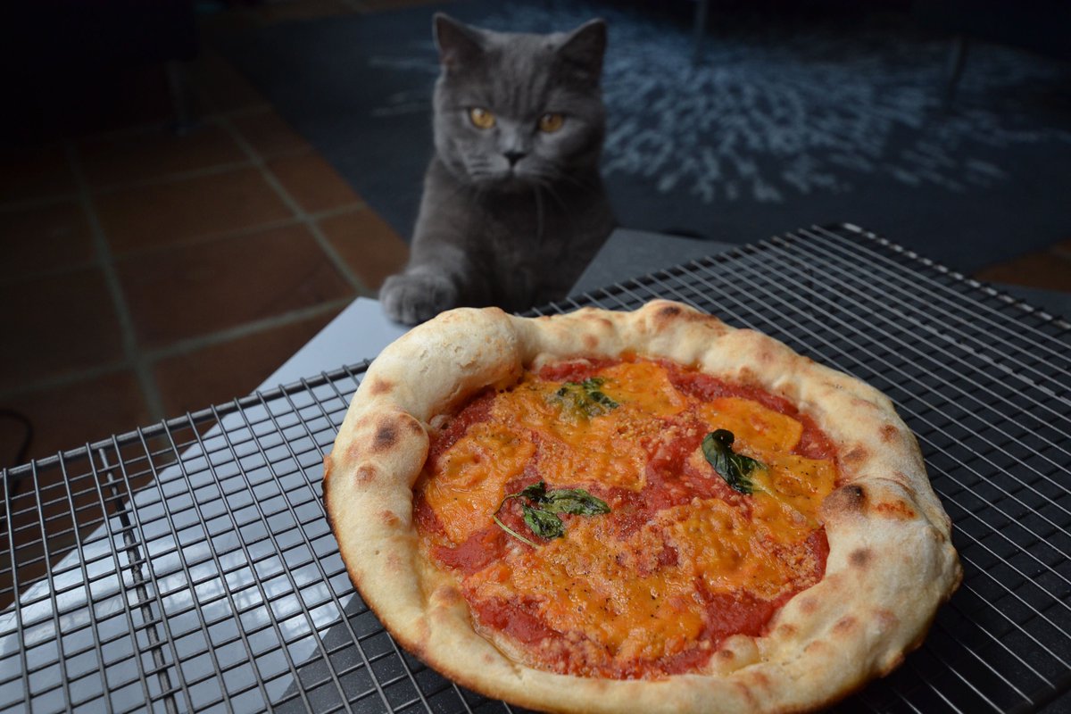 rotaready's tweet photo. This weekend we had a go at making our very own Neapolitan pizzas 🍕 Big thanks to our new client @pizzapilgrims for our #PizzaInThePost. Here's how some of them turned out...
#fryingpanpizza #hospitalityindustry #lockdownlife #hospitalitytech #hospitalitystrong #pizzas https://t.co/XF4rbcZrtB