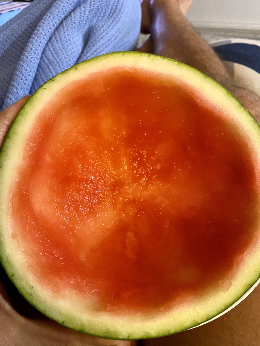 ordsomefarmer's tweet photo. Always fun playing around with new (to me) melon varieties. Mini watermelons loving the #ordsome conditions. Bloody delicious @hmclause Perfect fridge size and looks & flavour were spot on. #kununurra #ordirrigation #nicemelons https://t.co/VghLzTg0xD