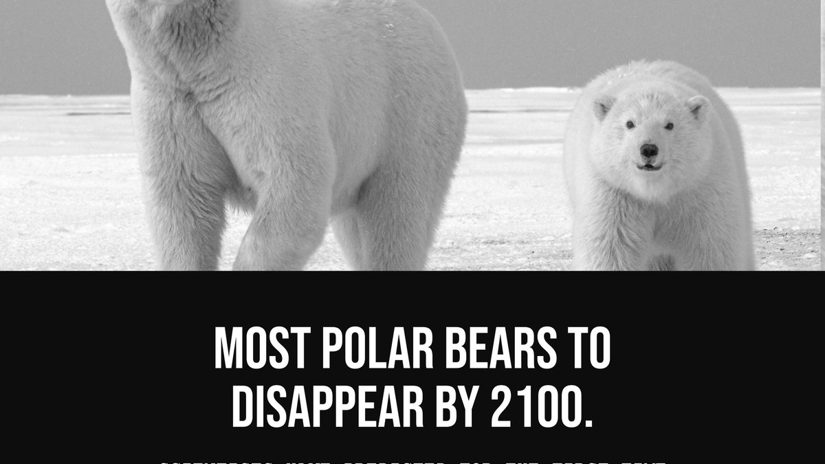revpro_'s tweet photo. Just reading about climate change/ global warming and making a conversation around it can make a difference. The polar bears might be totally extinct in the next 30 years. Let's not ignore this.
-
Photo by Hans-Jurgen Mager from Unsplash
-
#polarbears #extinction #climatechange https://t.co/W90FKIyHE7