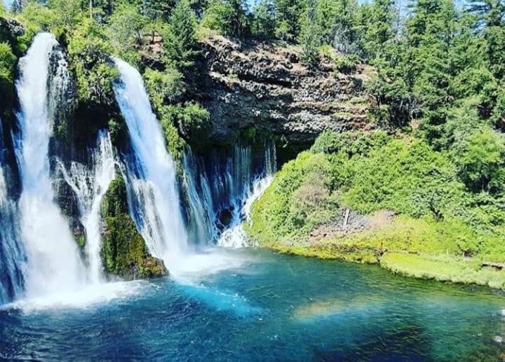 BradleySuicide's tweet photo. Yep. Mossbrae. Youβre on the list for the summer. #letsgobb https://t.co/COqV8as7wh