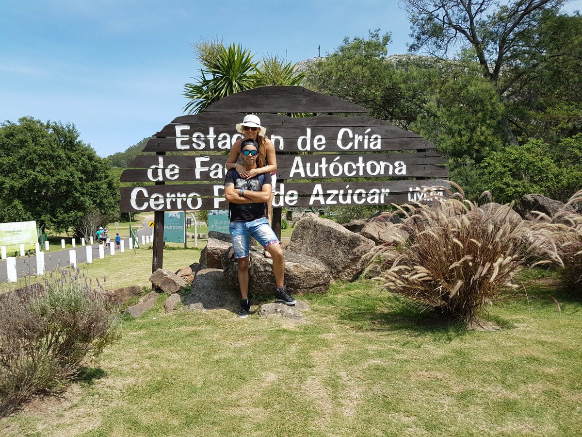 AlvezFreire's tweet photo. Sin dudas son mis mejores amigos 🤩🎉🙌 https://t.co/yt0g3zcYnX