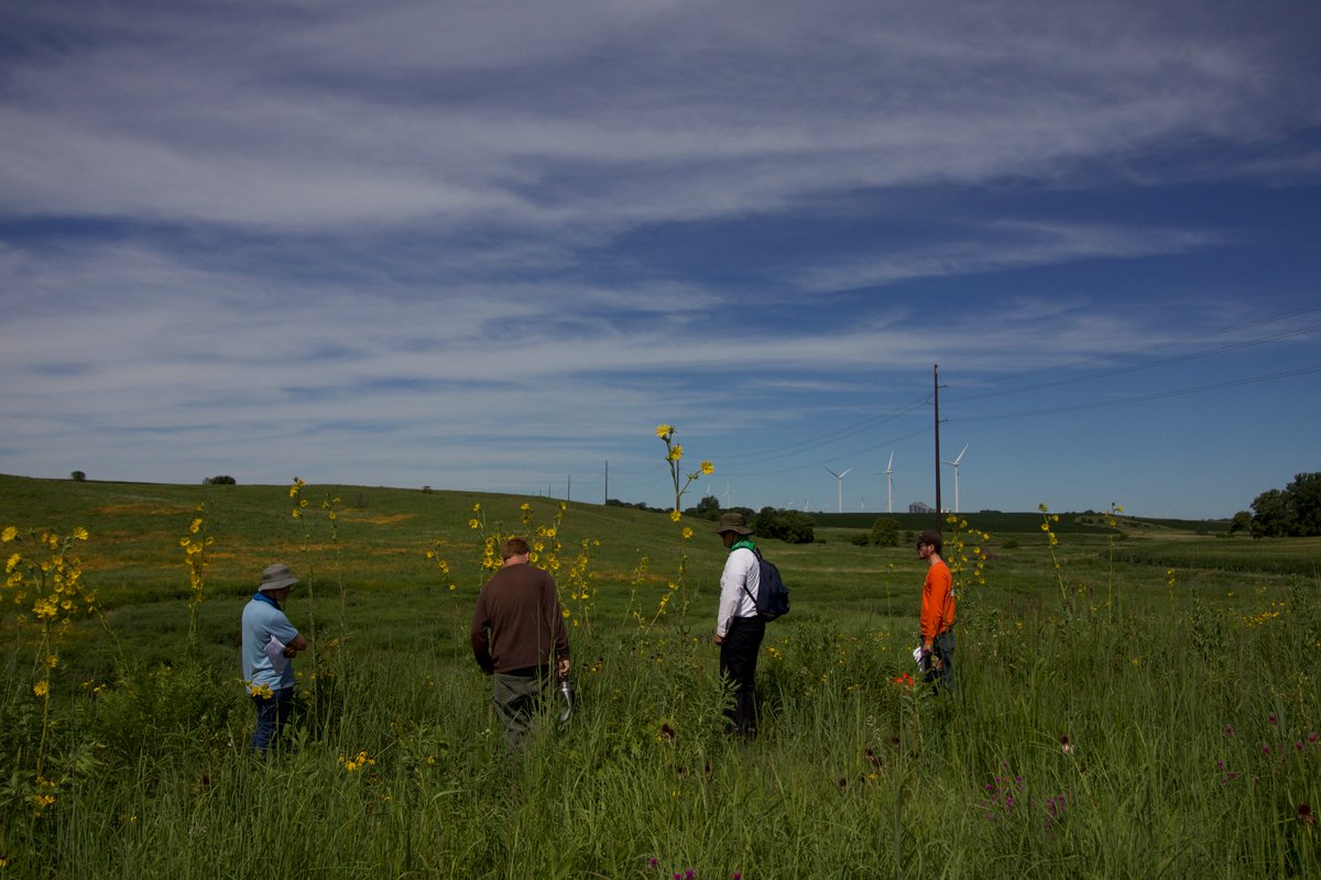 prudenterra's tweet photo. #Prairie #summer #school was in session last week! Operations team #workshops are a critical part of our process. We look to #nature to refine our expertise in #restoring disturbed sites to their authentic #function and #appeal.

#prairies #flowers #grasses #soil #diversity https://t.co/gnj03MVvq2
