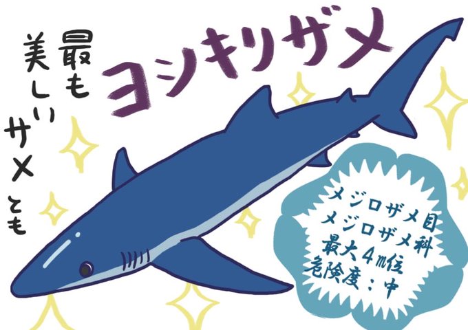 ネコザメのtwitterイラスト検索結果 古い順
